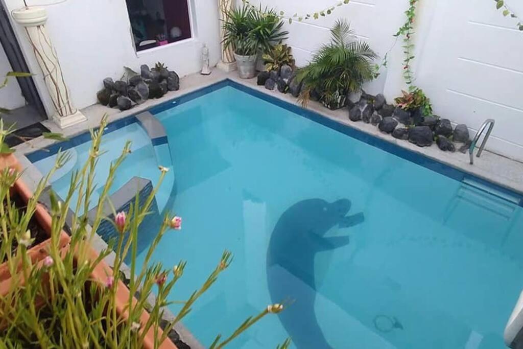 Arthur Private Resort Legazpi Eksteriør bilde